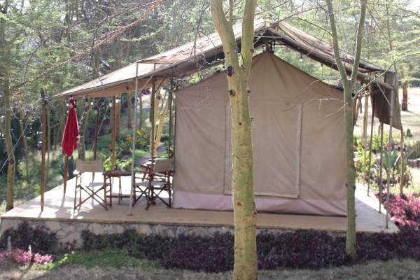 Comfortable 1 bed tented Eco Camp in Nakuru outski. Affordable furnished Luxury Tent for vacation in Baruti West | Zuru Life Africa